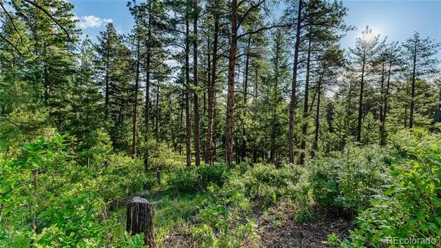 8125 Bannock Drive Larkspur, CO 80118