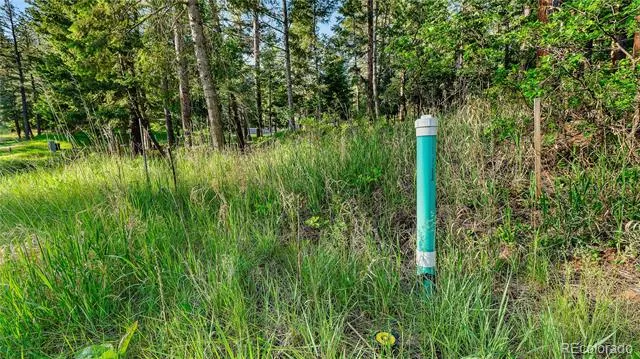 8125 Bannock Drive Larkspur, CO 80118