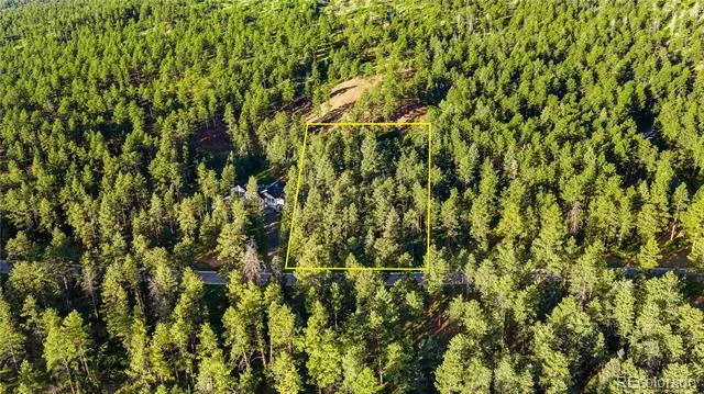 8125 Bannock Drive Larkspur, CO 80118