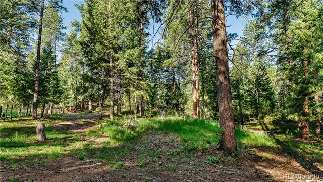 8125 Bannock Drive Larkspur, CO 80118