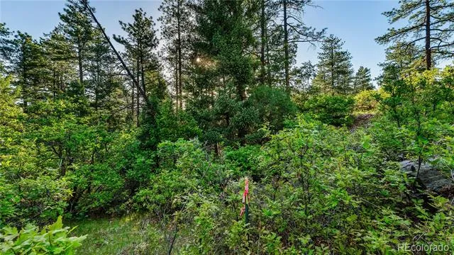 8125 Bannock Drive Larkspur, CO 80118