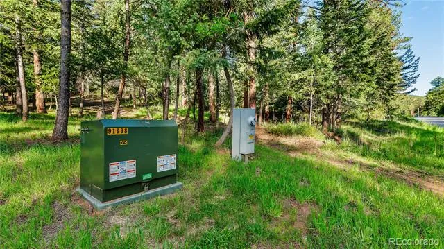 8125 Bannock Drive Larkspur, CO 80118