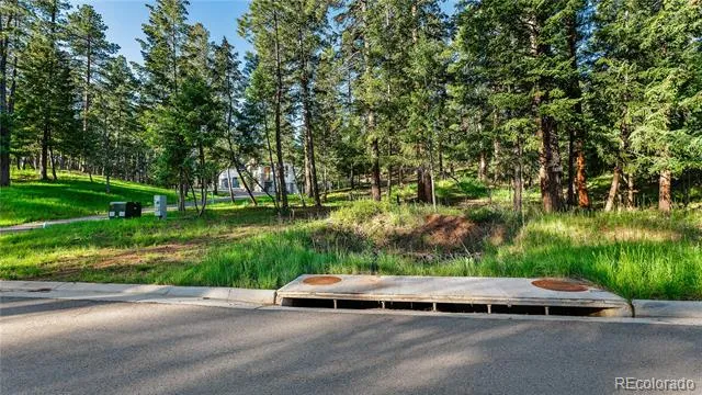 8125 Bannock Drive Larkspur, CO 80118