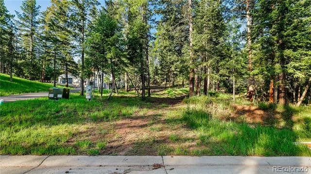 8125 Bannock Drive Larkspur, CO 80118