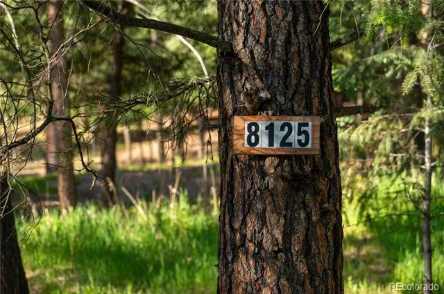 8125 Bannock Drive Larkspur, CO 80118