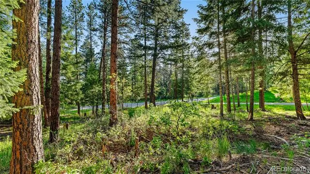 8125 Bannock Drive Larkspur, CO 80118