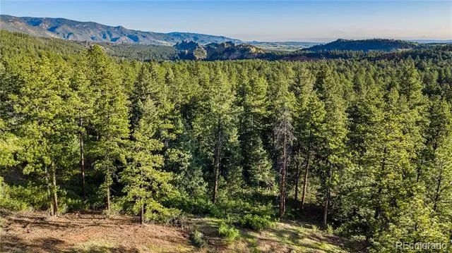 8125 Bannock Drive Larkspur, CO 80118