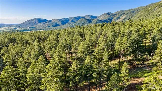 8125 Bannock Drive Larkspur, CO 80118