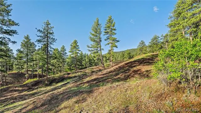 8125 Bannock Drive Larkspur, CO 80118