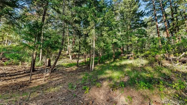 8125 Bannock Drive Larkspur, CO 80118