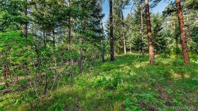 8125 Bannock Drive Larkspur, CO 80118