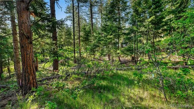 8125 Bannock Drive Larkspur, CO 80118