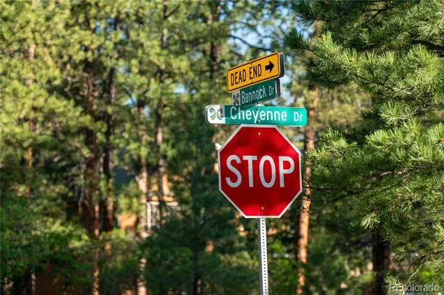 8125 Bannock Drive Larkspur, CO 80118