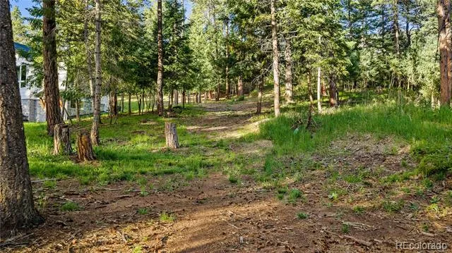 8125 Bannock Drive Larkspur, CO 80118