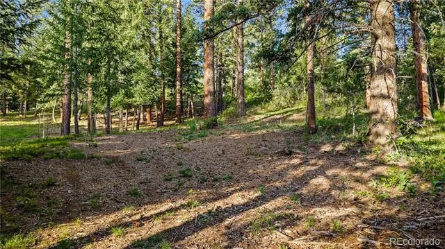 8125 Bannock Drive Larkspur, CO 80118