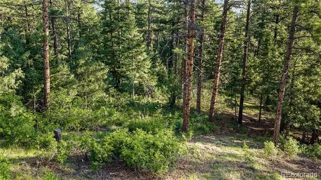 8125 Bannock Drive Larkspur, CO 80118