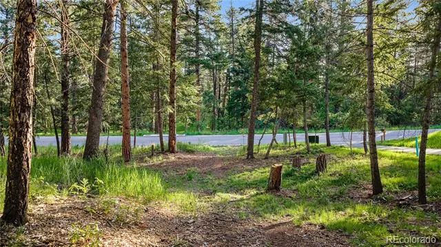 8125 Bannock Drive Larkspur, CO 80118