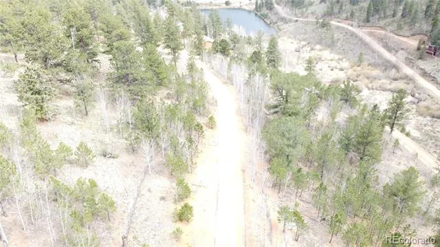 381 Neish Street Bailey, CO 80421