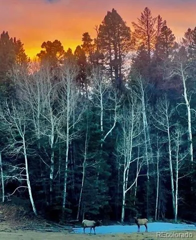16679 Highway 96 Wetmore, CO 81253