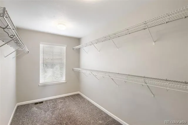 3378 Shoveler Trail Castle Rock, CO 80104