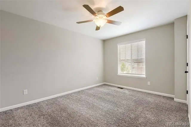 3378 Shoveler Trail Castle Rock, CO 80104