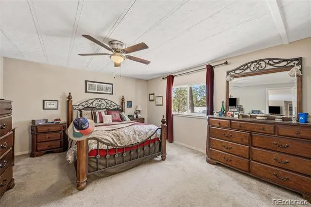 1299 Pikes Peak Drive Florissant, CO 80816