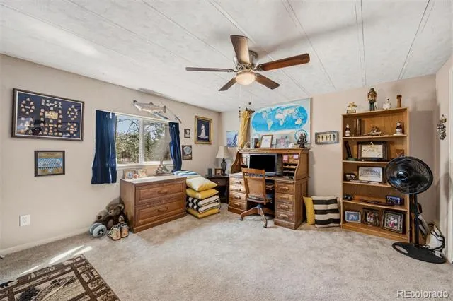 1299 Pikes Peak Drive Florissant, CO 80816