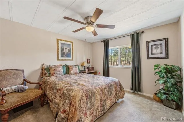 1299 Pikes Peak Drive Florissant, CO 80816