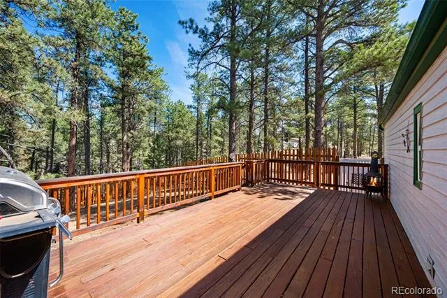 1299 Pikes Peak Drive Florissant, CO 80816