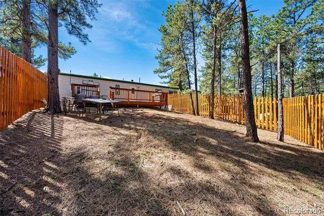 1299 Pikes Peak Drive Florissant, CO 80816