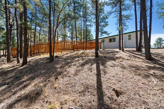 1299 Pikes Peak Drive Florissant, CO 80816