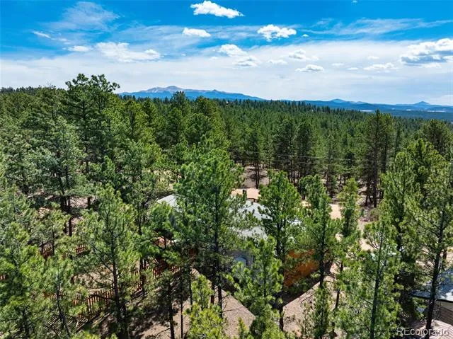 1299 Pikes Peak Drive Florissant, CO 80816