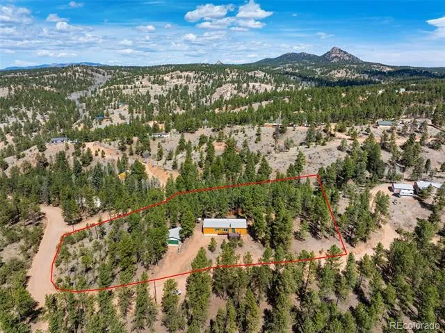1299 Pikes Peak Drive Florissant, CO 80816