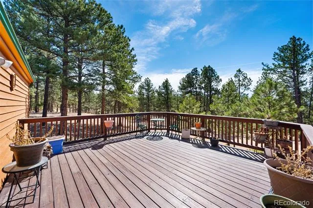 1299 Pikes Peak Drive Florissant, CO 80816