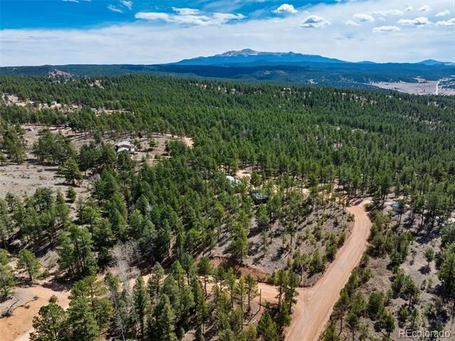 1299 Pikes Peak Drive Florissant, CO 80816
