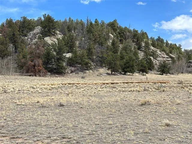 1472 W Longbow Drive Como, CO 80432