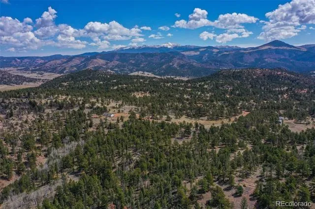 487 Pike View Lane Florissant, CO 80816