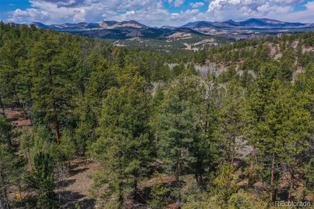487 Pike View Lane Florissant, CO 80816