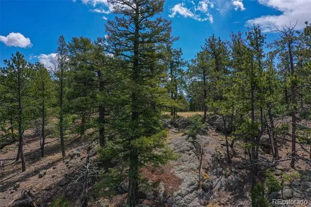 487 Pike View Lane Florissant, CO 80816