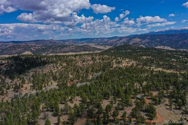 487 Pike View Lane Florissant, CO 80816
