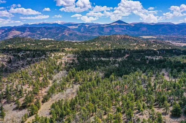 487 Pike View Lane Florissant, CO 80816