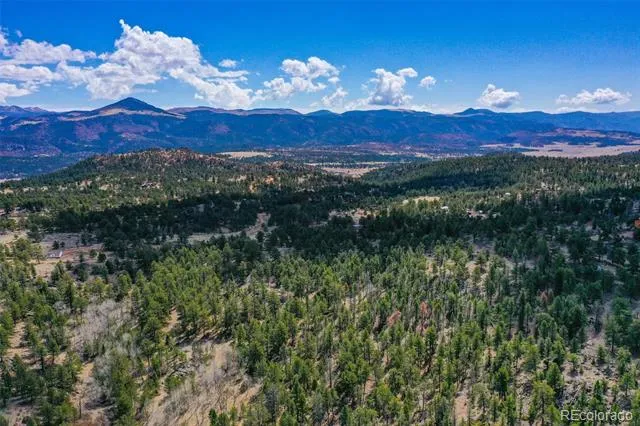 487 Pike View Lane Florissant, CO 80816
