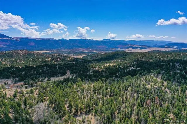 487 Pike View Lane Florissant, CO 80816