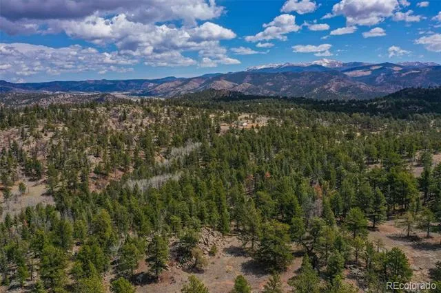 487 Pike View Lane Florissant, CO 80816