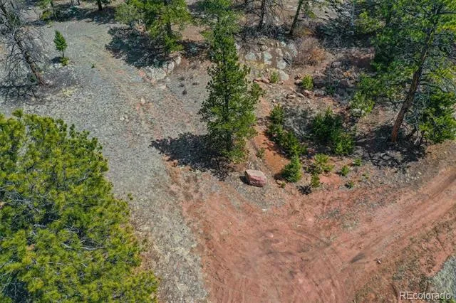 487 Pike View Lane Florissant, CO 80816