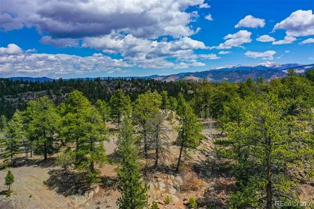 487 Pike View Lane Florissant, CO 80816