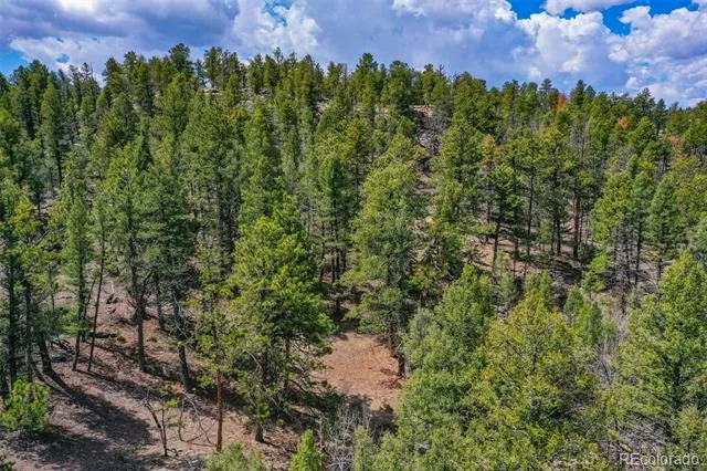 487 Pike View Lane Florissant, CO 80816