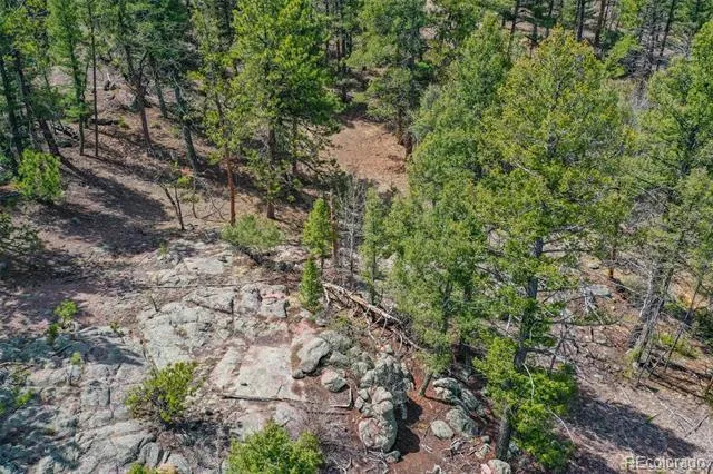 487 Pike View Lane Florissant, CO 80816
