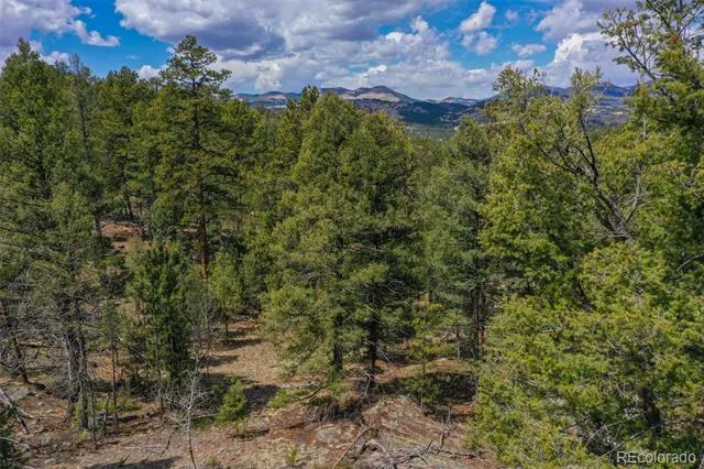 487 Pike View Lane Florissant, CO 80816