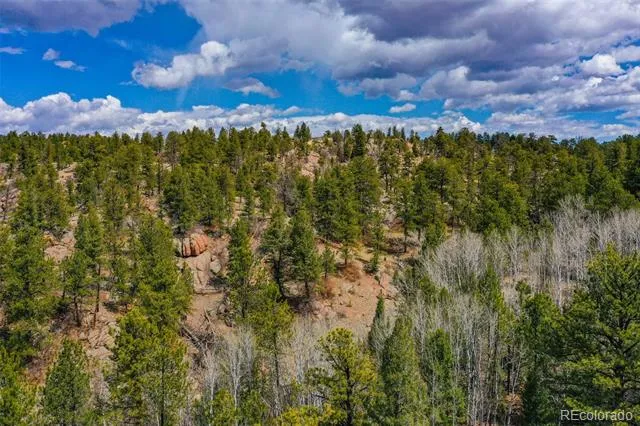 487 Pike View Lane Florissant, CO 80816
